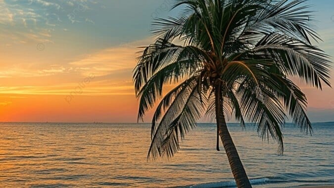 Photo of 𝓝𝖆𝖚𝖌𝖍𝖙𝔂 𝓢𝓴𝖚𝖑𝖑, creator on OnlyFans with exclusive content